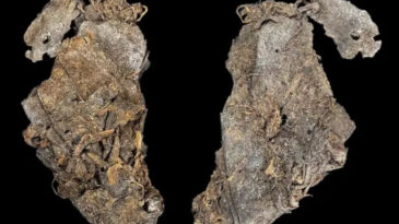 12 Bin Yıllık Keşif: D&uuml;nyanın En Eski Kıyafet Par&ccedil;ası Olabilir