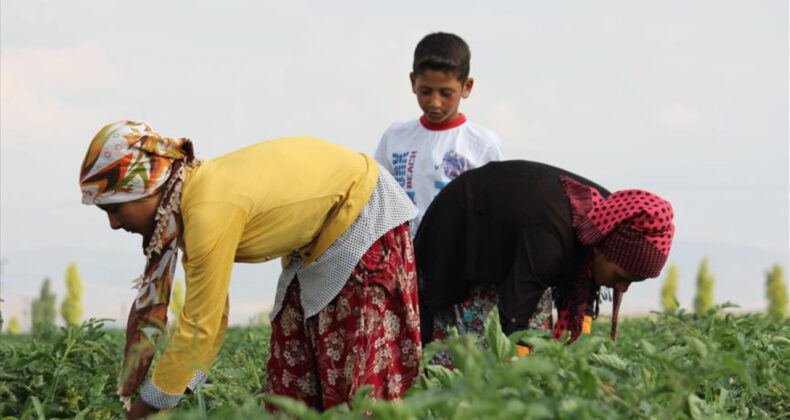 14 Şubat S&uuml;rprizi: Yevmiyelerde İndirim Yapıldı