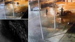 19 Koyunu Elleriyle &Ccedil;alıp Gittiler