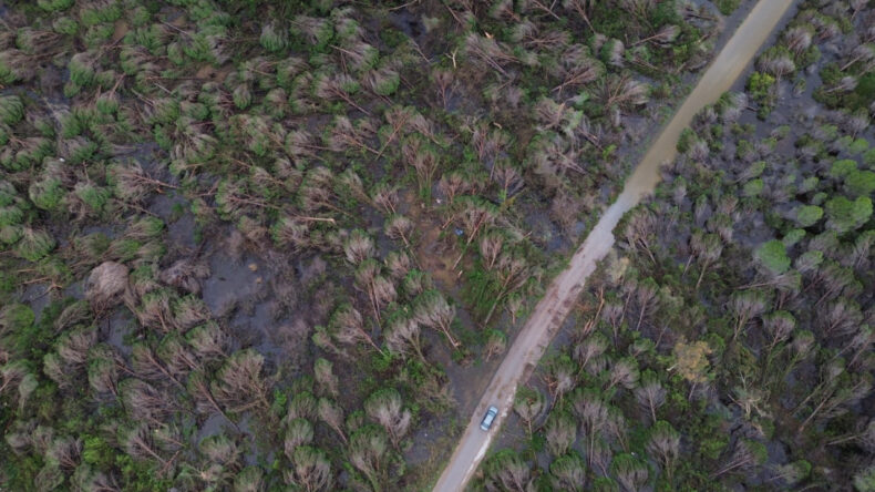 21 İlde Orman Sınırları G&uuml;ncellendi