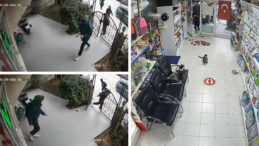 3 &Ccedil;ocuk Veteriner Kliniğine Torpil Attı, Hayvanlar Paniğe Kapıldı