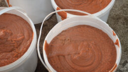 3 Kadınla Başladılar Şimdi 30 Kişi &Uuml;retiyorlar