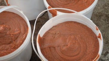 3 Kadınla Başladılar Şimdi 30 Kişi &Uuml;retiyorlar