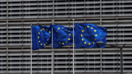 AB Binalarına Polis Operasyonu