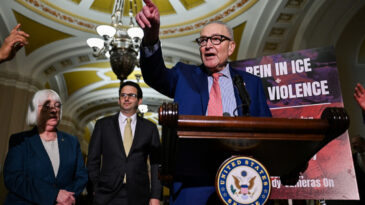 ABD'de ICE Tartışmaları Alevlendi: Yetersiz Bulundu