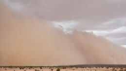 ABD'de Kum Fırtınası: &Ccedil;ok Sayıda &Ouml;l&uuml; ve Yaralı Kaydedildi
