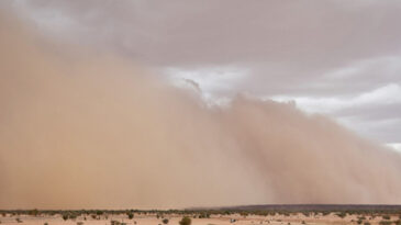 ABD'de Kum Fırtınası: &Ccedil;ok Sayıda &Ouml;l&uuml; ve Yaralı Kaydedildi