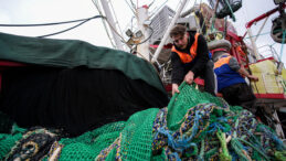 Ağlar Boş, Limanlar Dolu: Olumsuz Hava Koşulları Balık&ccedil;ılığı Etkiledi