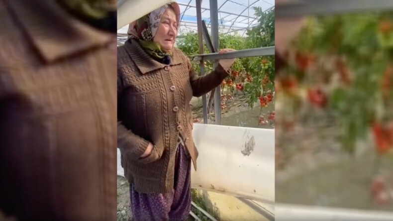 Ağlayarak Dert Yandı: 80 Ton Mal Var, Heba Oldu, Bittik