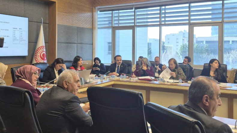 AKP&rsquo;li Vekilden TBMM Komisyonunda Dikkat &Ccedil;eken Tepki