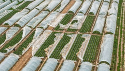 Antalya'da Fırtına, Hortum ve Sel Tarıma Zarar Verdi