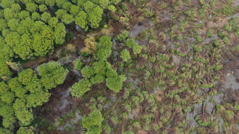 Antalya'da Hortum Yıkıcı Etkiler Bıraktı