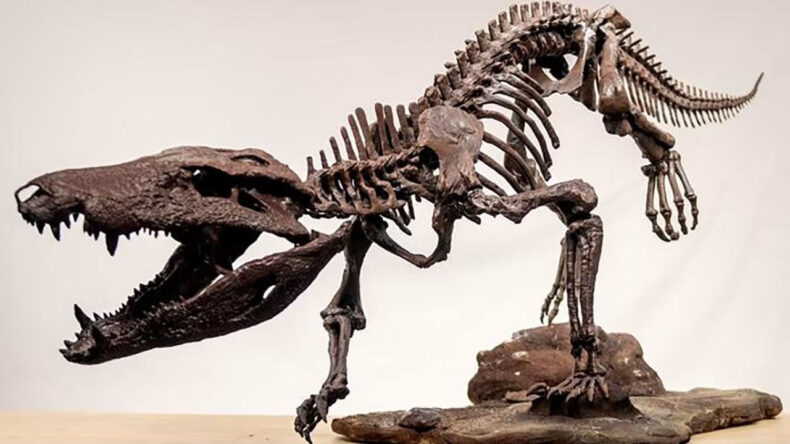 Araştırma: Dinozor yavruları yırtıcıların fast food&rsquo;uydu