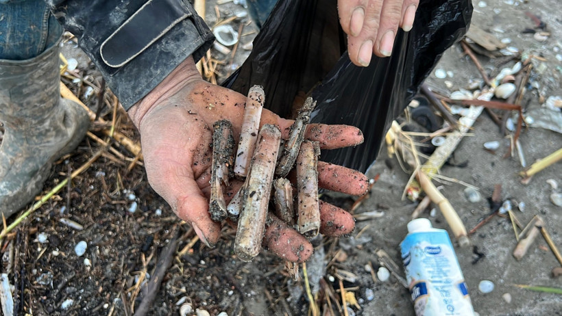 Balıkçılar Midye Topluyor