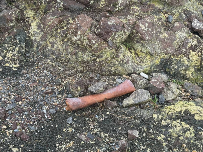 Kemik Buluntuları Üzerine