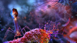 Bağırsak Kanserinde Dikkat &Ccedil;eken Keşif: Bakteri İ&ccedil;inden Vir&uuml;s Bulundu