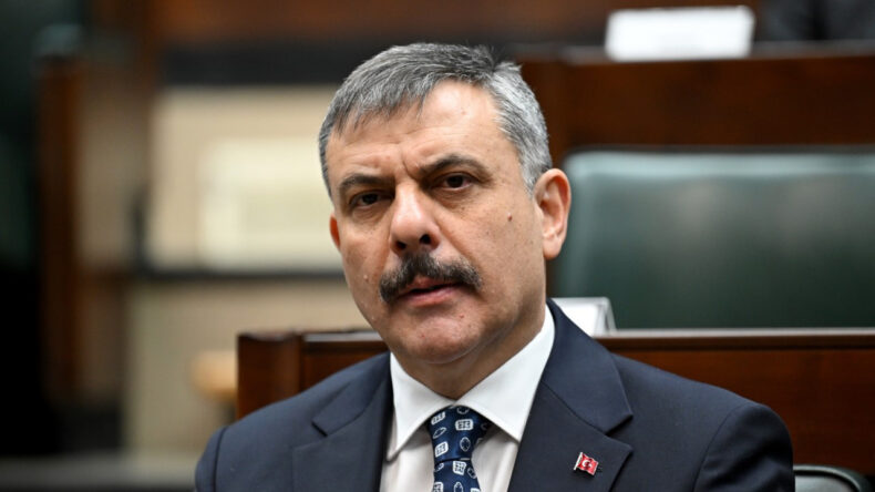 Bakan Yardımcılarının Sorumlulukları Belli Oldu