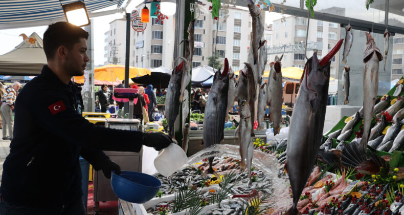 Balık&ccedil;ılıkta B&uuml;y&uuml;k Tehlike: &Uuml;&ccedil;te Biri Tehdit Altında