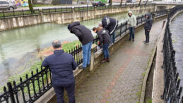 Binlerce Balık Hayatını Kaybetti, Ekipler M&uuml;dahale İ&ccedil;in Harekete Ge&ccedil;ti