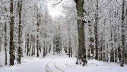 Bir&ccedil;ok Şehirde Okullara Kar Tatili