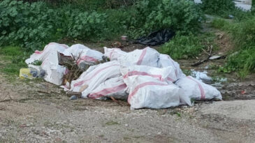 Bodrum&rsquo;da Araziye Moloz D&ouml;ken Kişiye 50 Bin Lira Ceza