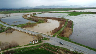 B&uuml;y&uuml;k Menderes Nehri Taştı, Yol Kapandı