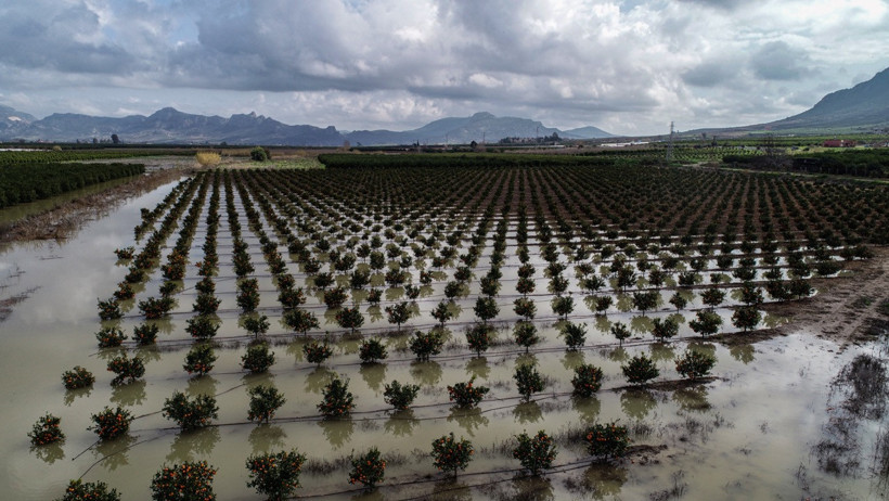 Yağış Sonrası Tarım Alanları