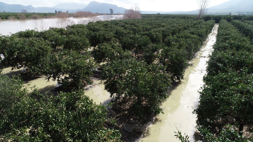 Üreticinin Zararları