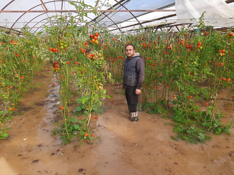 Ziraat Mühendisi Çalışmalar