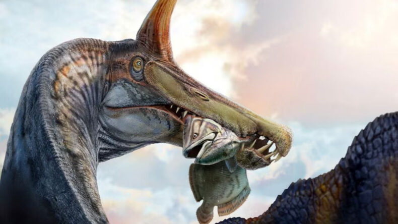 &Ccedil;&ouml;l Ortasında Şaşırtıcı Dinozor Keşfi