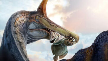 &Ccedil;&ouml;l Ortasında Tuhaf Bir Dinozor Keşfedildi