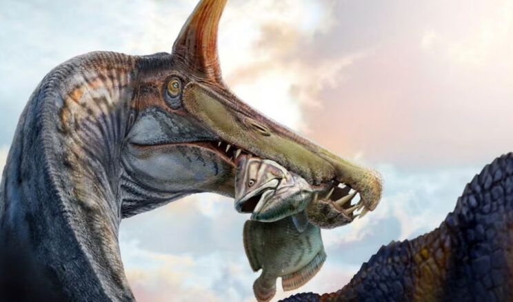 &Ccedil;&ouml;l Ortasında Tuhaf Bir Dinozor Keşfedildi