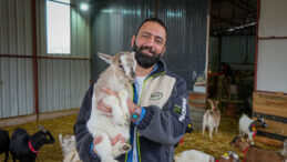 C&uuml;ce Ke&ccedil;iler Kedi ve K&ouml;peğe Rakip Olmayı Başardı