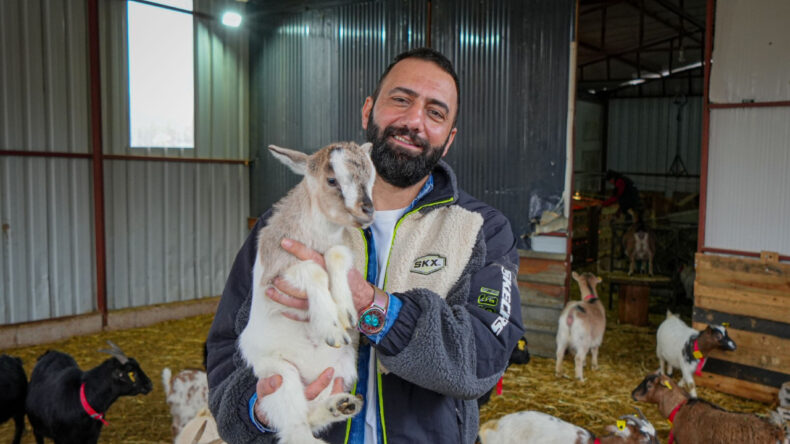 C&uuml;ce Ke&ccedil;iler Kedi ve K&ouml;peğe Rakip Olmayı Başardı