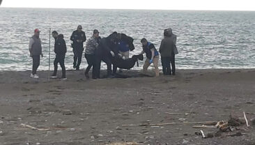 Dalaman'da Sahilde Erkek Cesedi Tespit Edildi