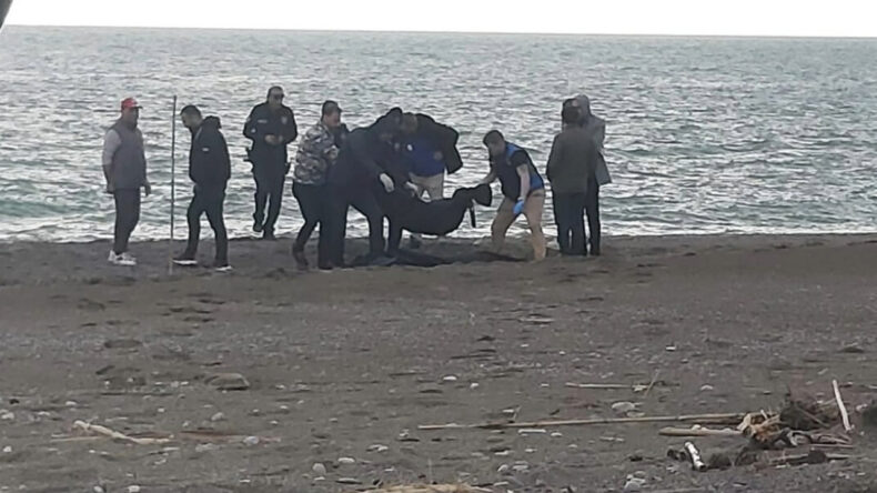 Dalaman'da Sahilde Erkek Cesedi Tespit Edildi