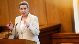 Danimarka, Gr&ouml;nland Krizinin Ortasında Sandığa Gidecek