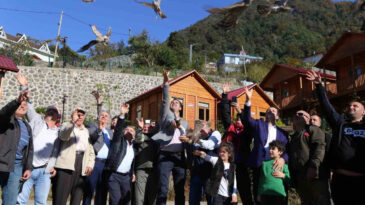 Danıştay'ın Kararına Tepkiler Yağdı