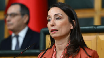 DEM Parti, Fidan'ın s&ouml;zlerini 'talihsiz' buldu