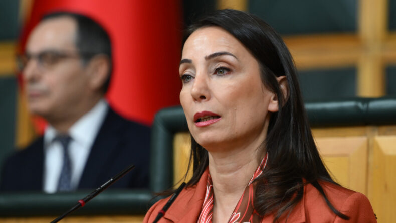 DEM Parti, Fidan'ın s&ouml;zlerini 'talihsiz' buldu