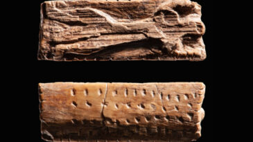 Dikkat &Ccedil;eken Araştırma: Bilinen En Eski Yazı 40 Bin Yıldan &Ouml;nce Yazılmış Olabilir