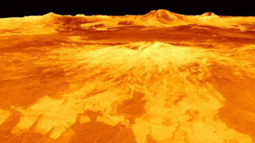 D&uuml;nya'nın 'K&ouml;t&uuml; İkizi'nde Şaşırtan Keşif: Ezber Bozan Yapılar Belirlendi