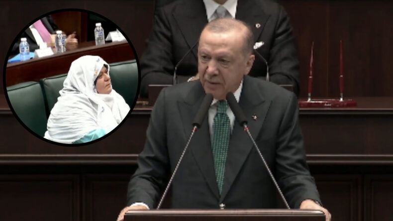 Erdoğan: Bu al&ccedil;ak zihniyeti lanetliyorum