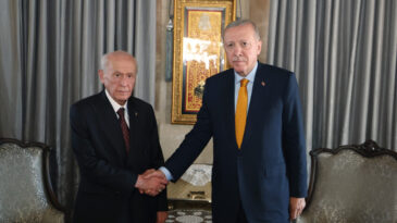 Erdoğan'dan '&Ouml;calan'a stat&uuml;' sorusuna yanıt