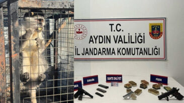 Eve D&uuml;zenlenen Operasyonda Ruhsatsız Silah ve Maymun Ele Ge&ccedil;irildi