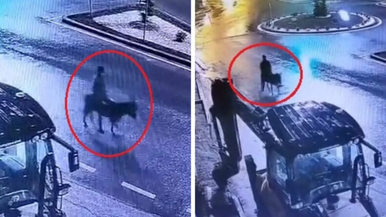 Forkliftle Kuyumcu Soyup Eşekle Ka&ccedil;an Ş&uuml;pheli Yakalandı