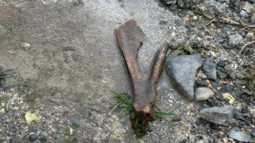 G&ouml;l Kurudu, Kemikler Ortaya &Ccedil;ıktı