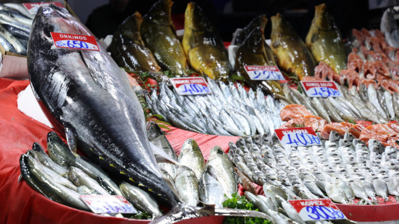 G&ouml;ren Bir Daha Baktı! 85 Kiloluk Orkinosun Fiyatı 2 Asgari &Uuml;crete Denk Geldi