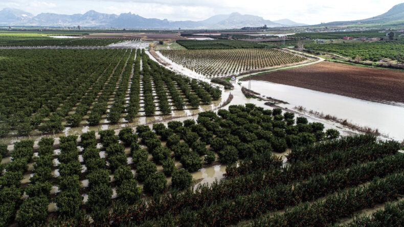 Günlerce S süren Sağanak, Tarım Arazilerini Vurdu