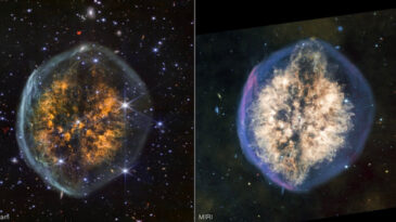 Hayrete D&uuml;ş&uuml;ren Olay: &Ouml;len Yıldızı B&ouml;yle G&ouml;r&uuml;nt&uuml;lediler